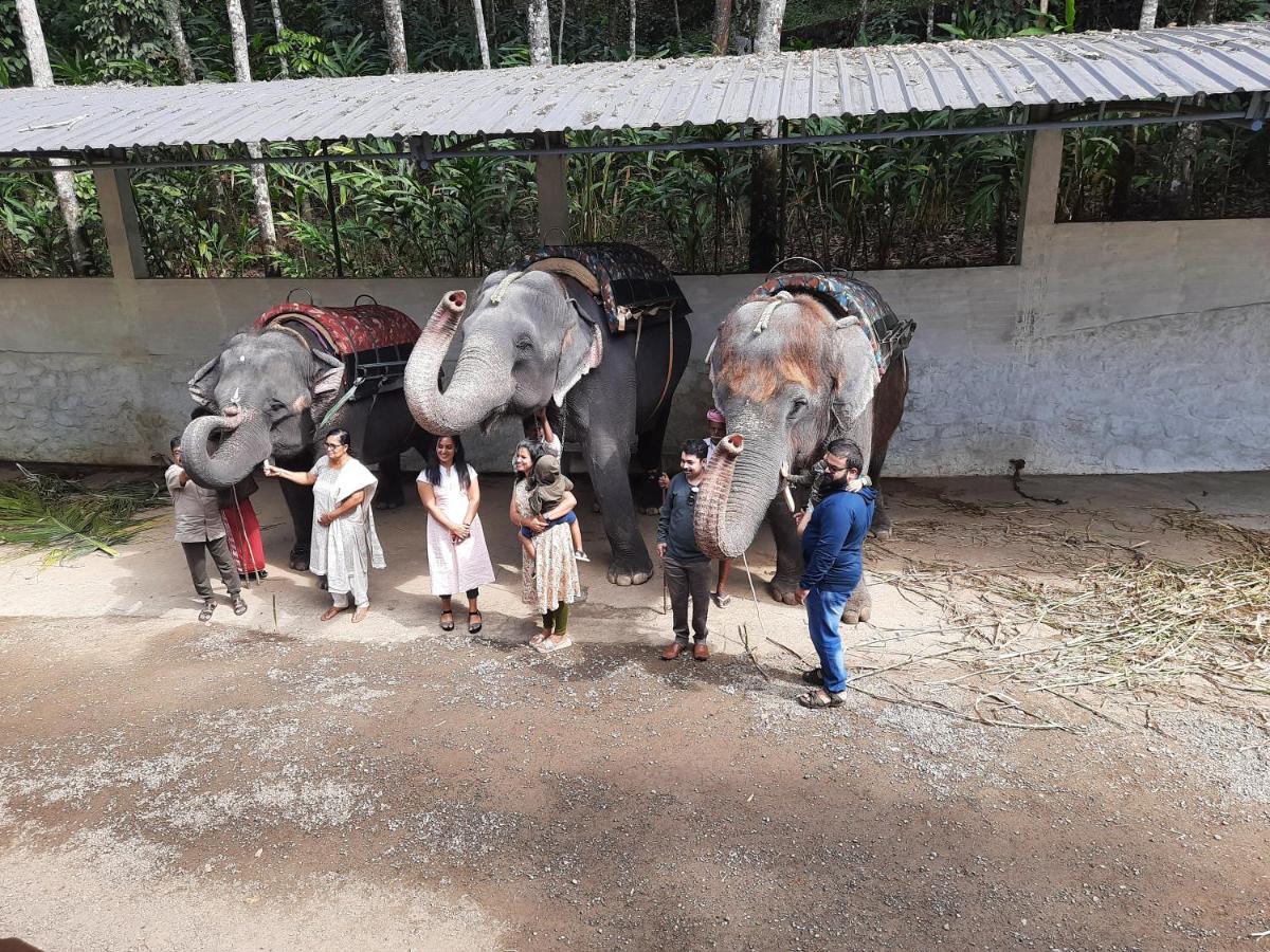 Sopanam Heritage Thekkady Buitenkant foto